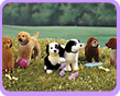 Pet Lovin'� Barbie� Puppy Twins Assortment